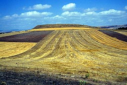 Masat Mound