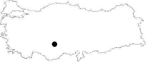 maps