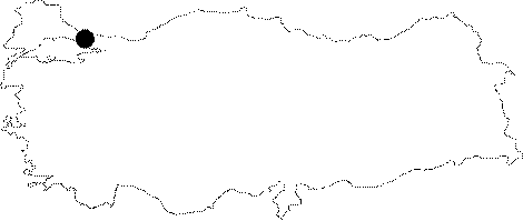 Anatolian Map