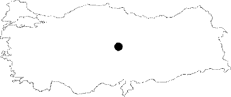 maps