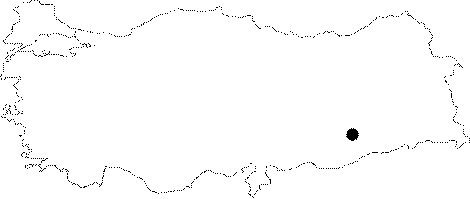 Anadolu Haritası
