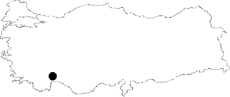 Haritalar