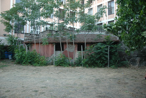 Euphemia Kilisesi / Antiokhos Sarayi